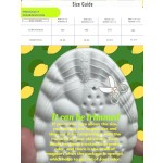 Insoles for Women Man,Cloud Soles for Men Women,4D Cloud Soles for Men,Anti Fatigue, Shock Absorption, Foot Pain Relief (Gray, S)